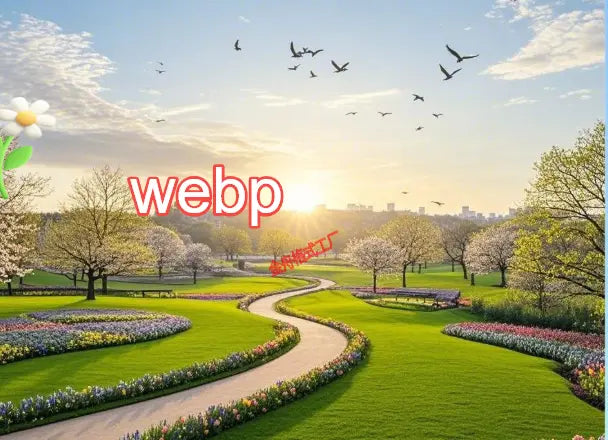 Shopify Product Three